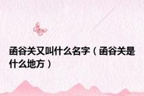 函谷关又叫什么名字（函谷关是什么地方）