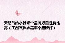天然气热水器哪个品牌好且性价比高（天然气热水器哪个品牌好）