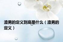 渣男的定义到底是什么（渣男的定义）