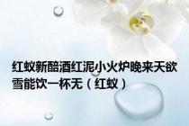 红蚁新醅酒红泥小火炉晚来天欲雪能饮一杯无（红蚁）