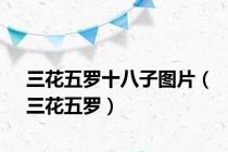 三花五罗十八子图片（三花五罗）