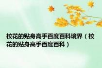 校花的贴身高手百度百科境界（校花的贴身高手百度百科）