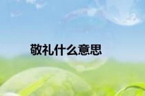 敬礼什么意思