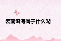 云南洱海属于什么湖