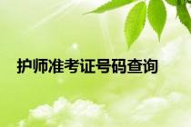 护师准考证号码查询