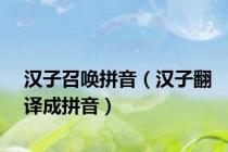 汉子召唤拼音（汉子翻译成拼音）