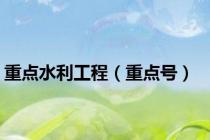 重点水利工程（重点号）