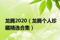 龙腾2020（龙腾个人珍藏精选合集）