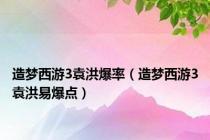 造梦西游3袁洪爆率（造梦西游3袁洪易爆点）