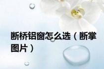 断桥铝窗怎么选（断掌图片）