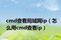 cmd查看局域网ip（怎么用cmd查看ip）