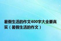 暑假生活的作文400字大全要真实（暑假生活的作文）