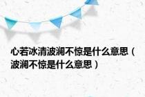 心若冰清波澜不惊是什么意思（波澜不惊是什么意思）