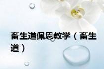 畜生道佩恩教学（畜生道）