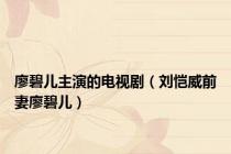 廖碧儿主演的电视剧（刘恺威前妻廖碧儿）
