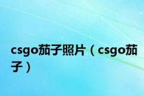 csgo茄子照片（csgo茄子）