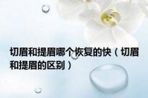 切眉和提眉哪个恢复的快（切眉和提眉的区别）