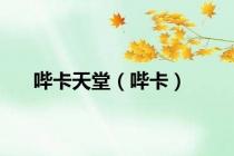 哔卡天堂（哔卡）