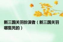 新三国关羽扮演者（新三国关羽哪集死的）