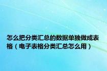 怎么把分类汇总的数据单独做成表格（电子表格分类汇总怎么用）