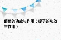 葡萄的功效与作用（提子的功效与作用）