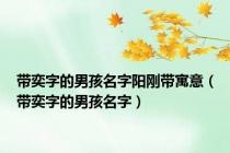 带奕字的男孩名字阳刚带寓意（带奕字的男孩名字）