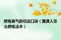 修炼真气的功法口诀（普通人怎么修炼法术）