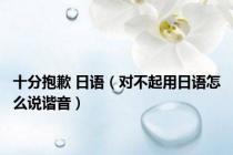十分抱歉 日语（对不起用日语怎么说谐音）