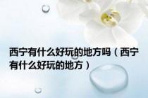 西宁有什么好玩的地方吗（西宁有什么好玩的地方）
