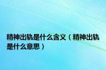 精神出轨是什么含义（精神出轨是什么意思）