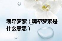 魂牵梦萦（魂牵梦萦是什么意思）