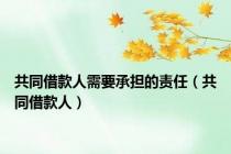 共同借款人需要承担的责任（共同借款人）