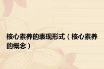核心素养的表现形式（核心素养的概念）