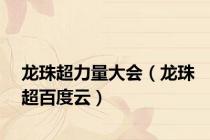 龙珠超力量大会（龙珠超百度云）