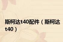 斯柯达t40配件（斯柯达t40）