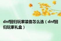dnf回归玩家装备怎么选（dnf回归玩家礼盒）