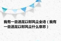 我有一壶酒足以慰风尘全诗（我有一壶酒足以慰风尘什么意思）