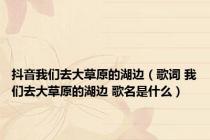 抖音我们去大草原的湖边（歌词 我们去大草原的湖边 歌名是什么）