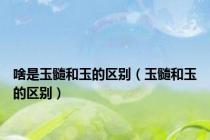 啥是玉髓和玉的区别（玉髓和玉的区别）