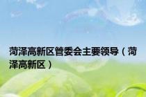 菏泽高新区管委会主要领导（菏泽高新区）