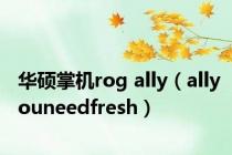华硕掌机rog ally（allyouneedfresh）