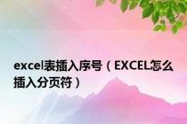 excel表插入序号（EXCEL怎么插入分页符）