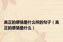 真正的感情是什么样的句子（真正的感情是什么）
