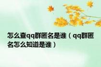 怎么查qq群匿名是谁（qq群匿名怎么知道是谁）