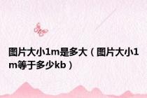 图片大小1m是多大（图片大小1m等于多少kb）