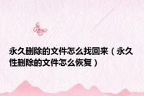 永久删除的文件怎么找回来（永久性删除的文件怎么恢复）
