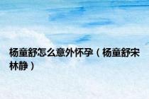 杨童舒怎么意外怀孕（杨童舒宋林静）
