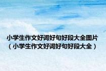 小学生作文好词好句好段大全图片（小学生作文好词好句好段大全）