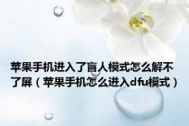 苹果手机进入了盲人模式怎么解不了屏（苹果手机怎么进入dfu模式）