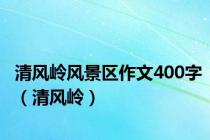 清风岭风景区作文400字（清风岭）